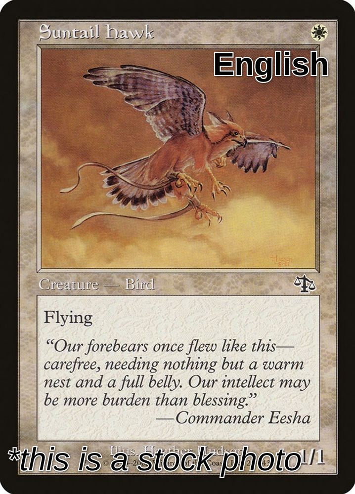 Suntail Hawk