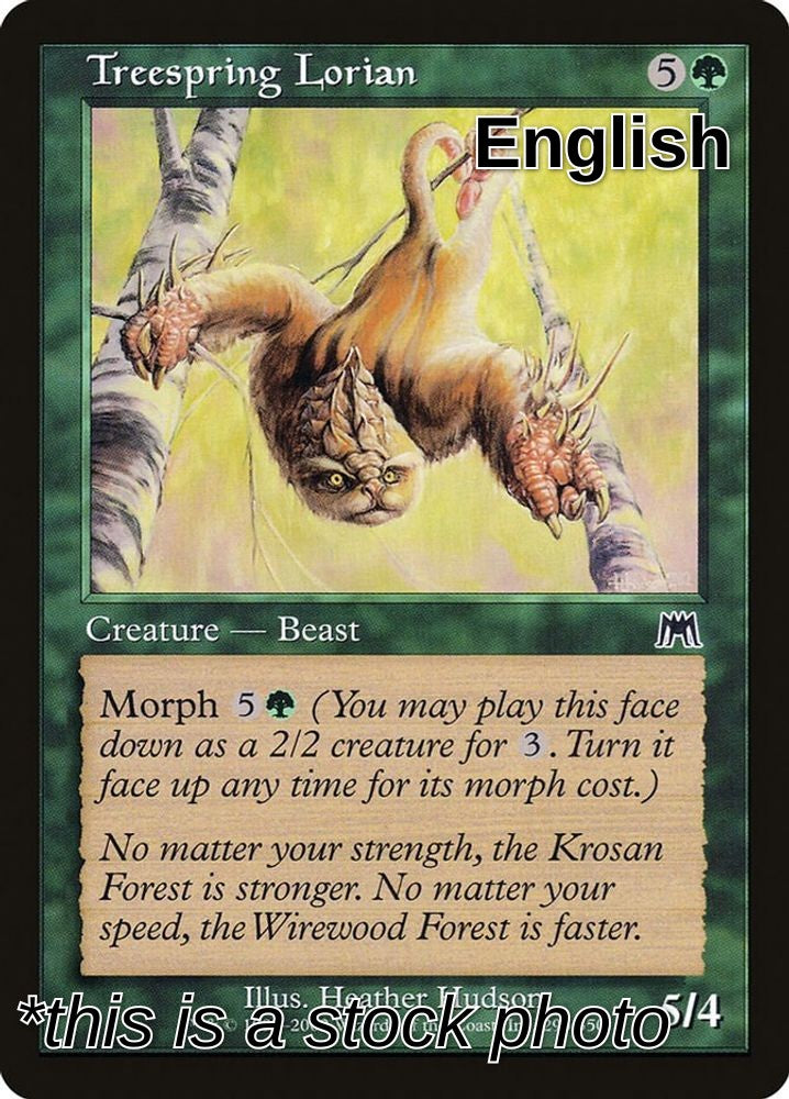 Treespring Lorian