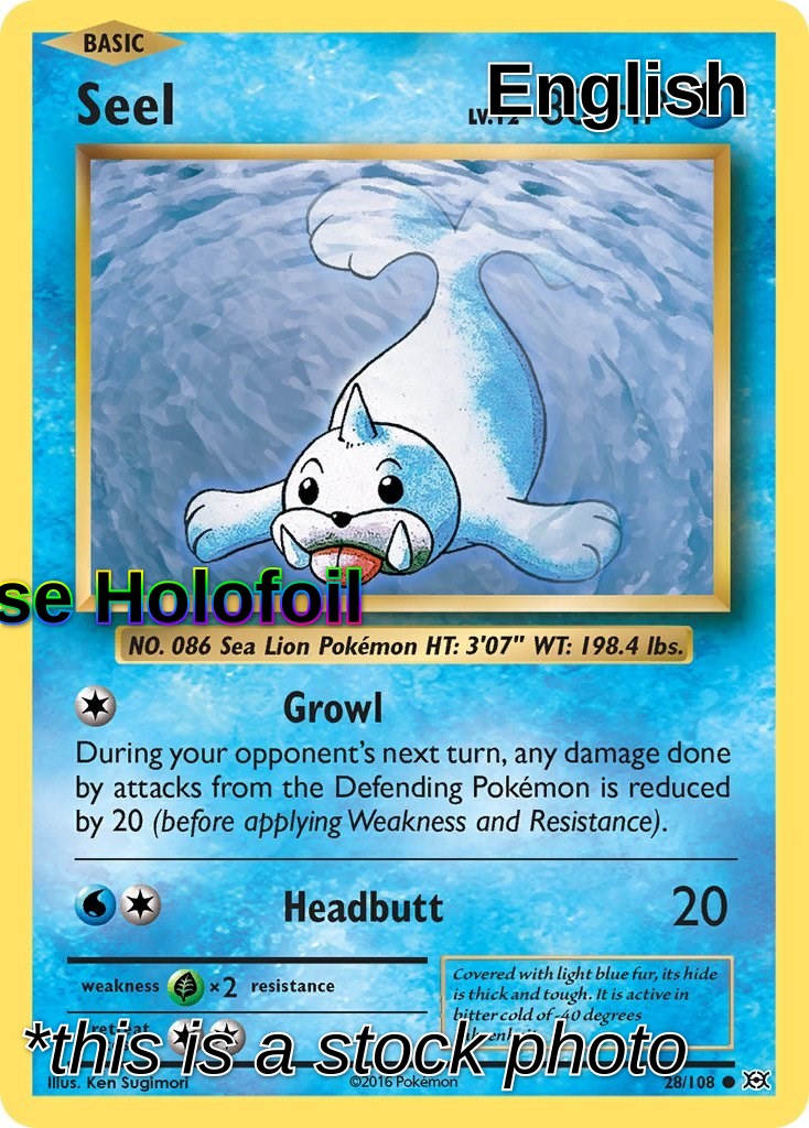 Seel
