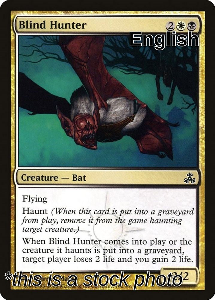 Blind Hunter