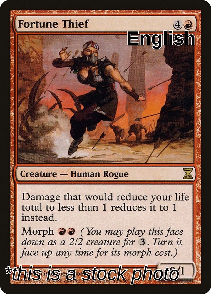 Fortune Thief