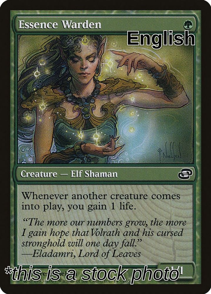 Essence Warden