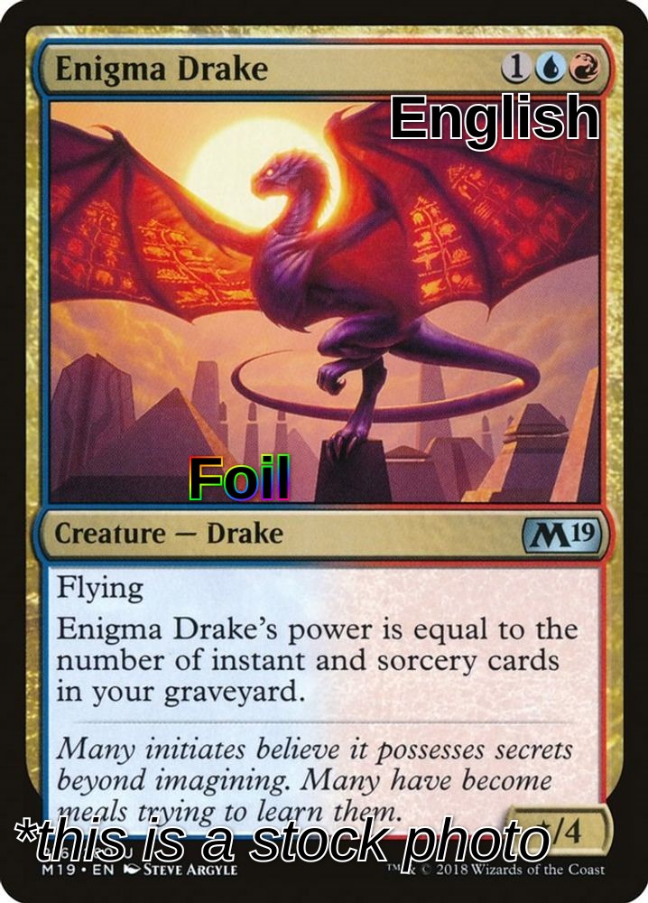 Enigma Drake