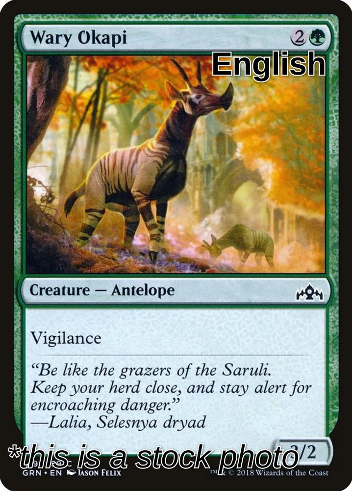 Wary Okapi