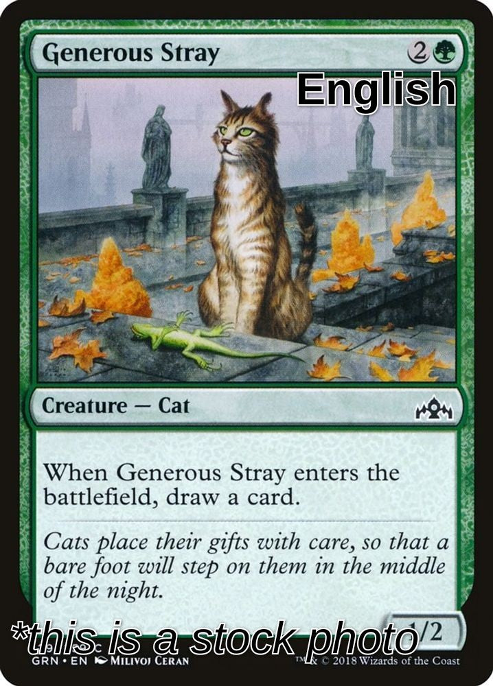 Generous Stray