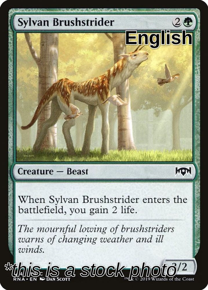Sylvan Brushstrider