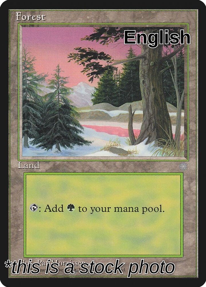 Forest (329)