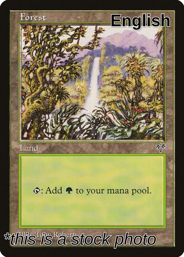 Forest (Waterfall)