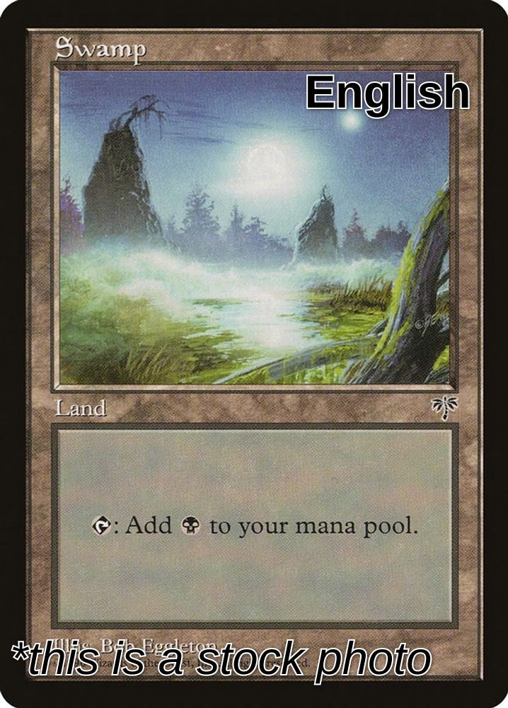 Swamp (Foggy Night)