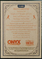 Onyx Vintage Blue Autographed - Riley Greene
