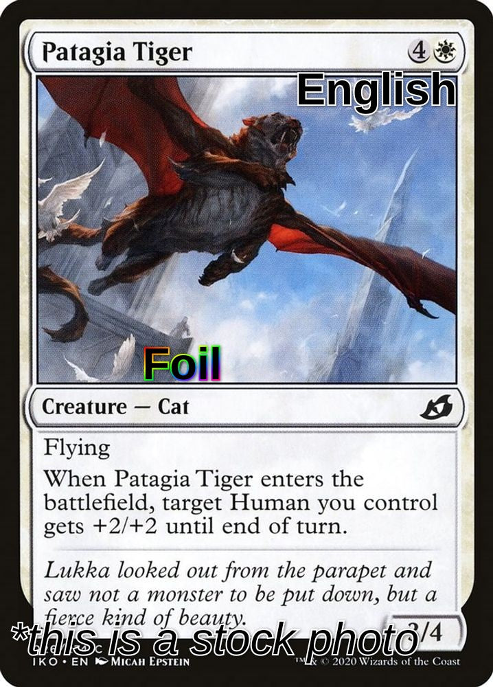 Patagia Tiger