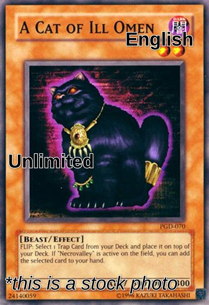 A Cat of Ill Omen