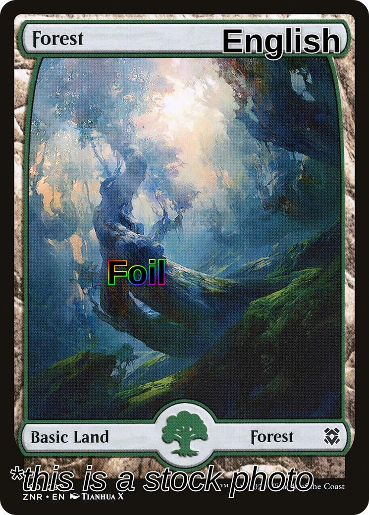 Forest (280) - Full Art