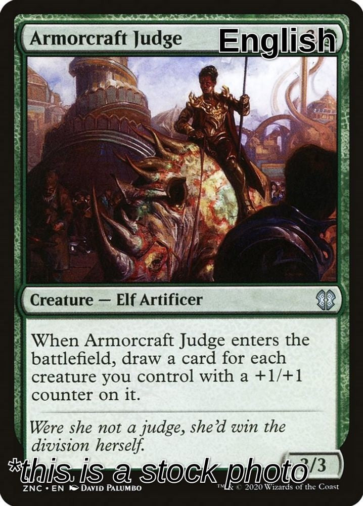 Armorcraft Judge