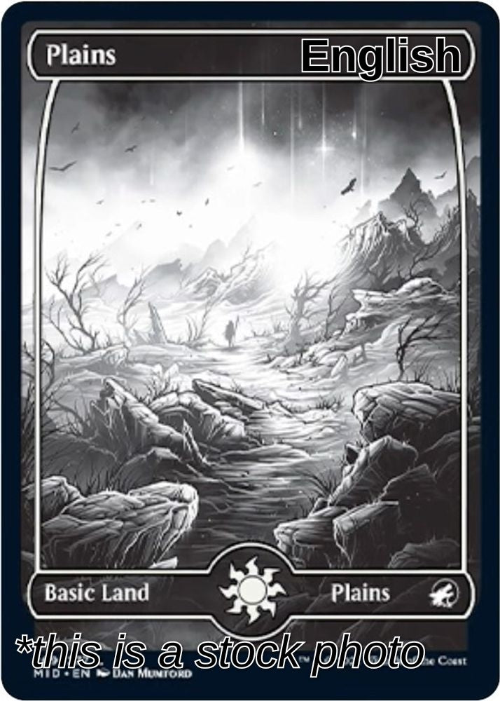 Plains (269)