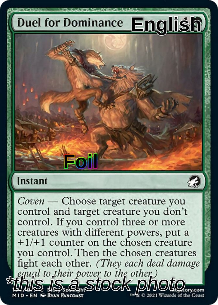 Duel for Dominance