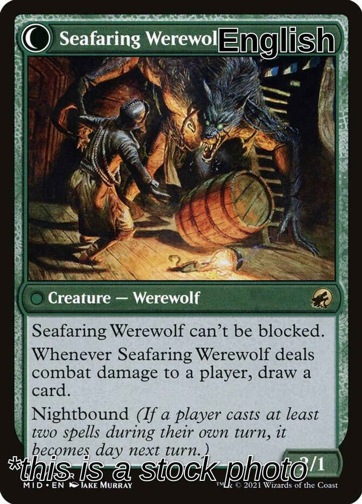 Suspicious Stowaway (Back)