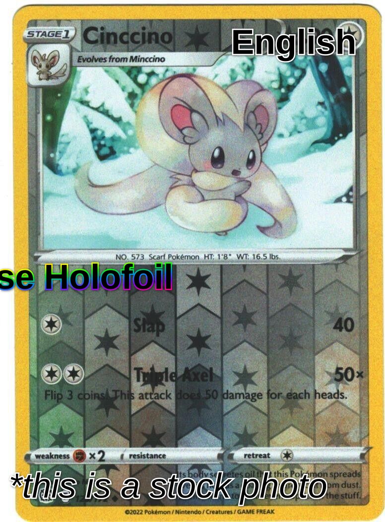 Cinccino