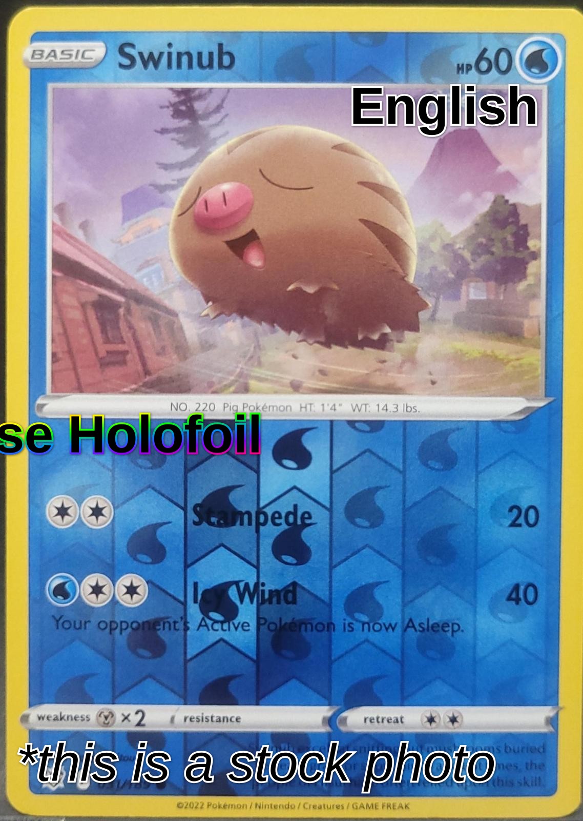 Swinub