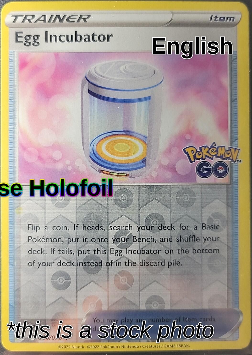 Egg Incubator