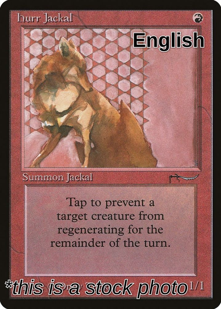 Hurr Jackal