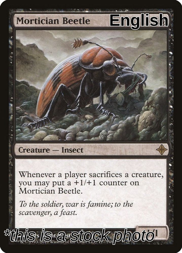 Mortician Beetle
