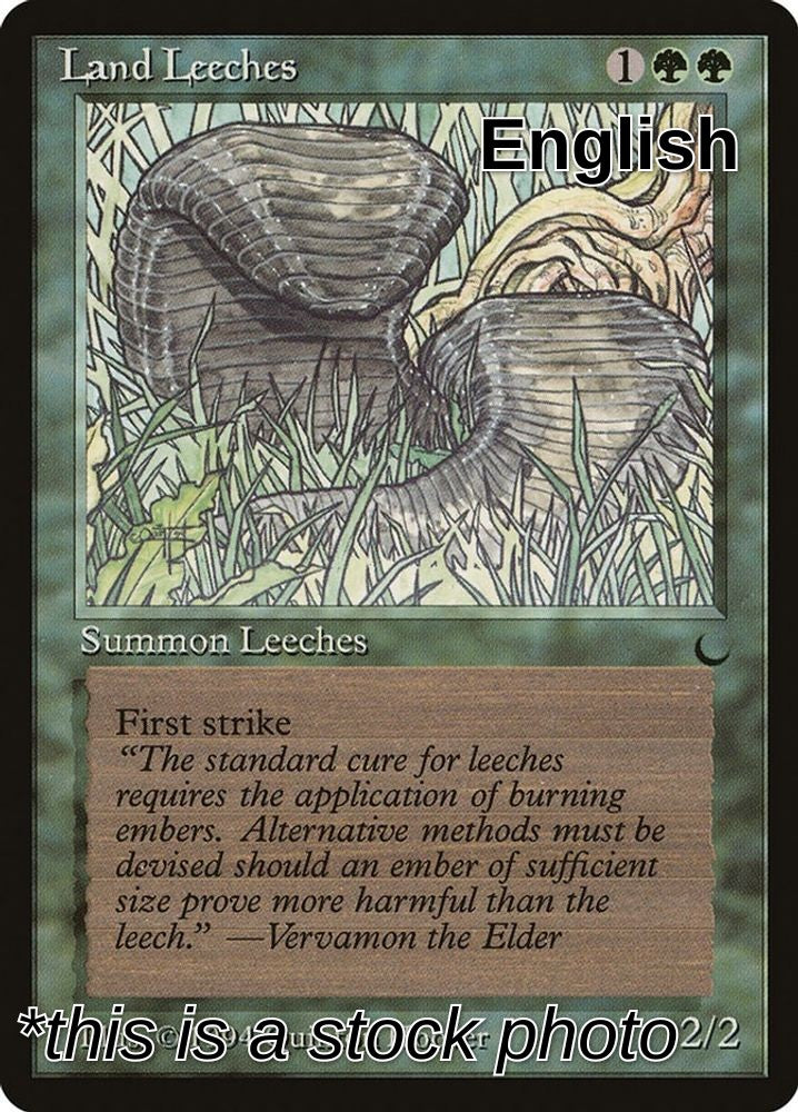 Land Leeches