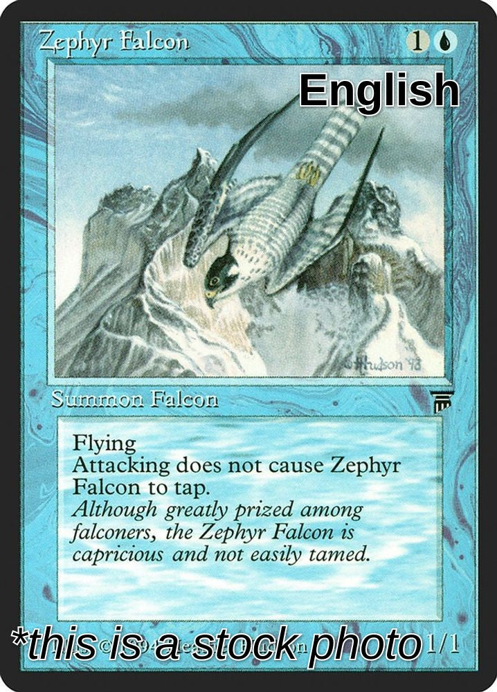 Zephyr Falcon