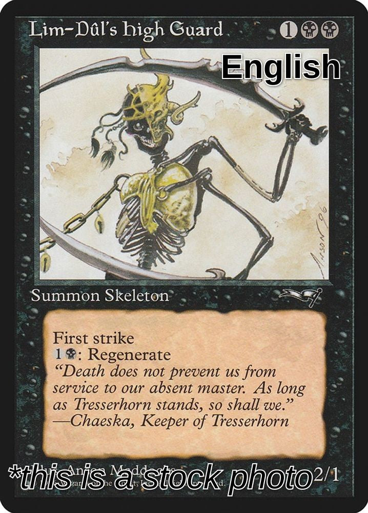 Lim-Dul's High Guard