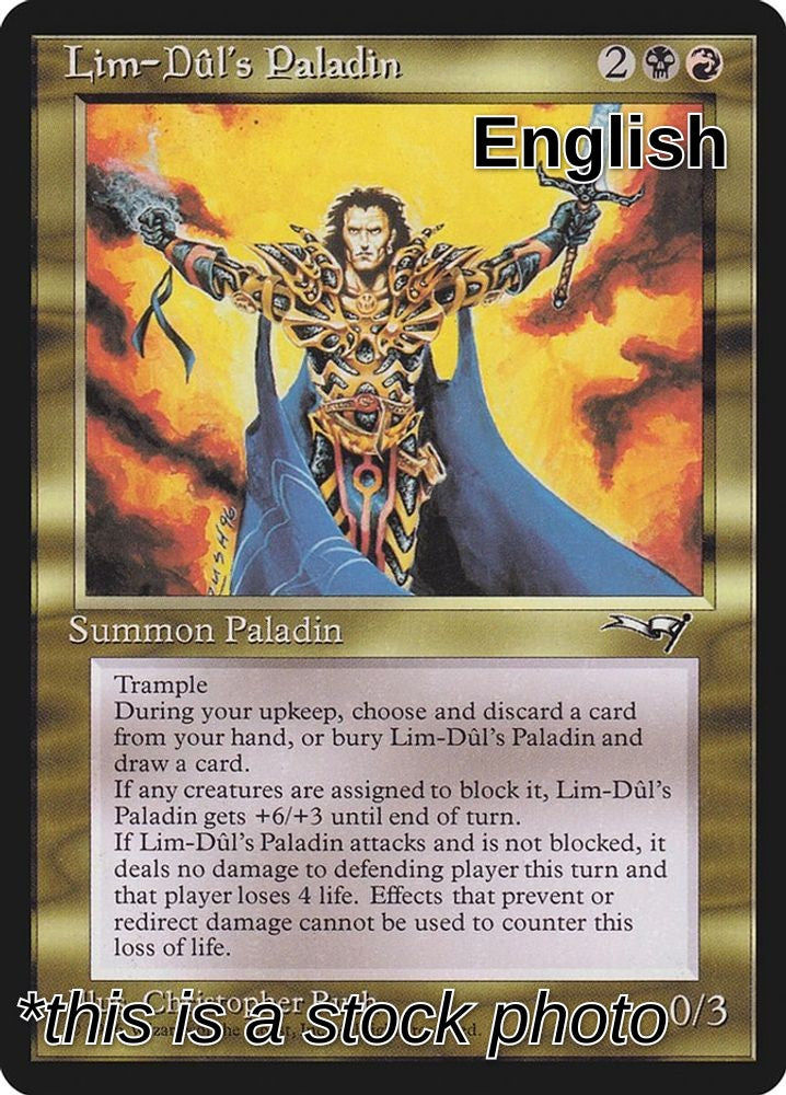 Lim-Dul's Paladin
