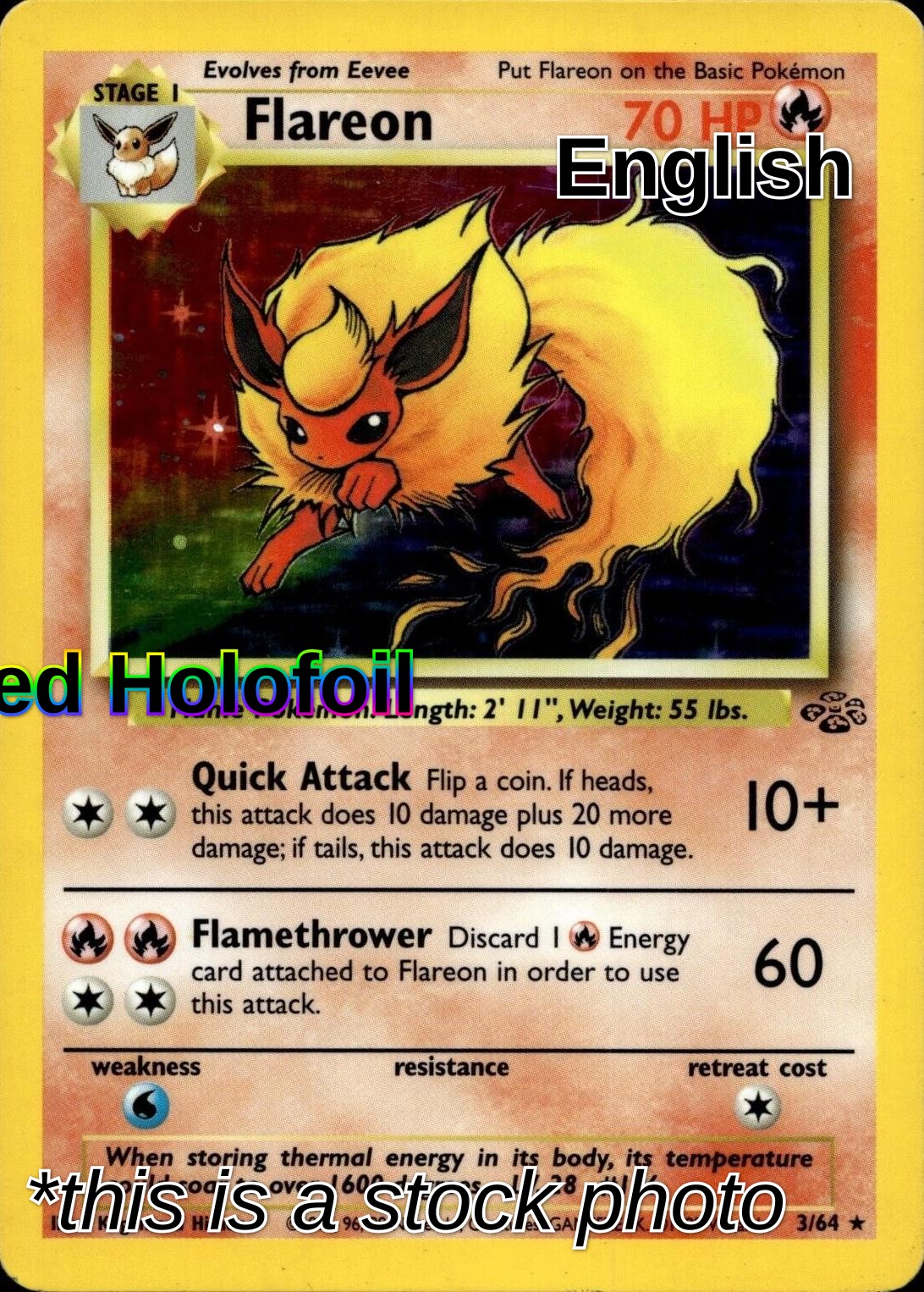 Flareon (3)