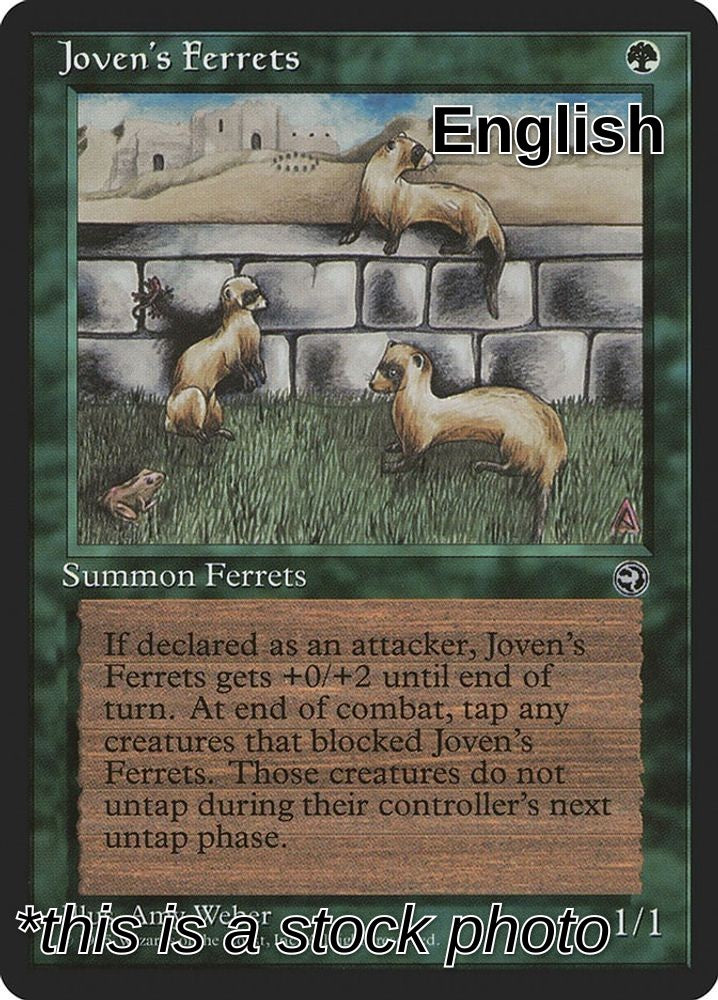 Joven's Ferrets