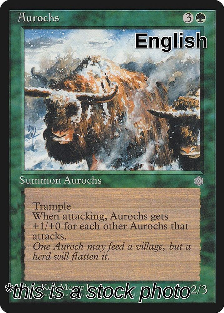 Aurochs