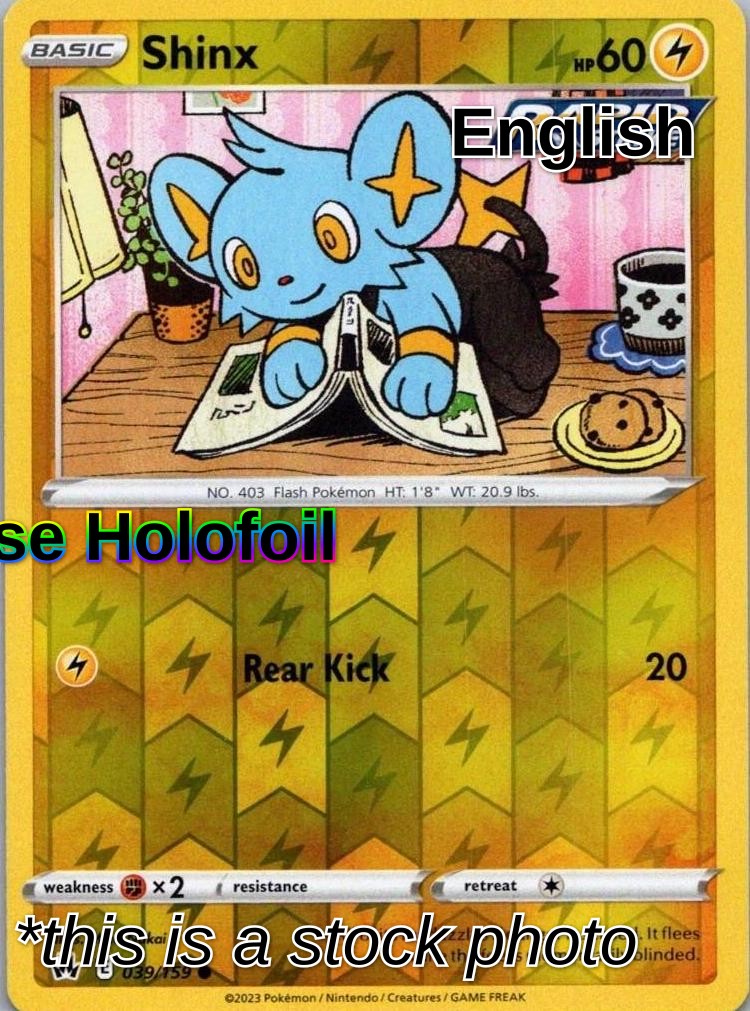 Shinx (39)