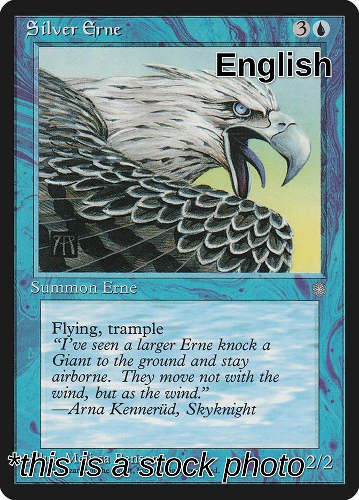 Silver Erne