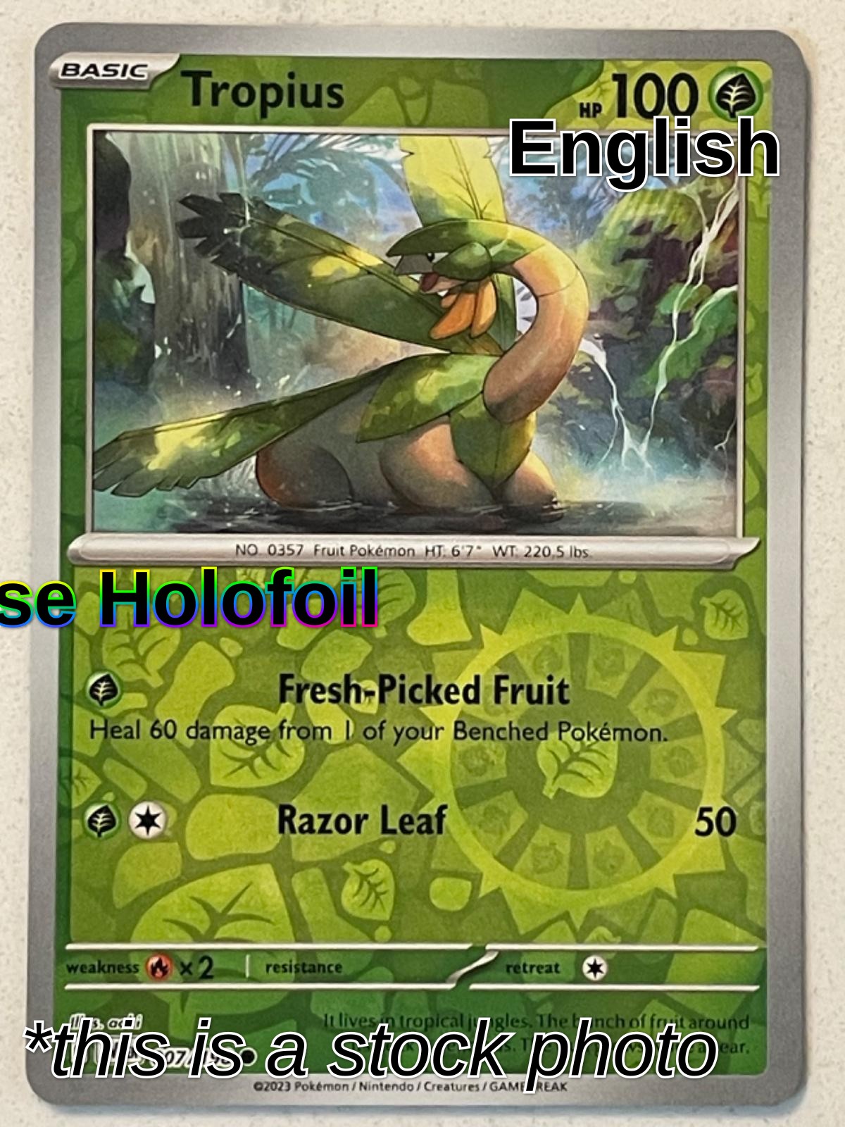 Tropius