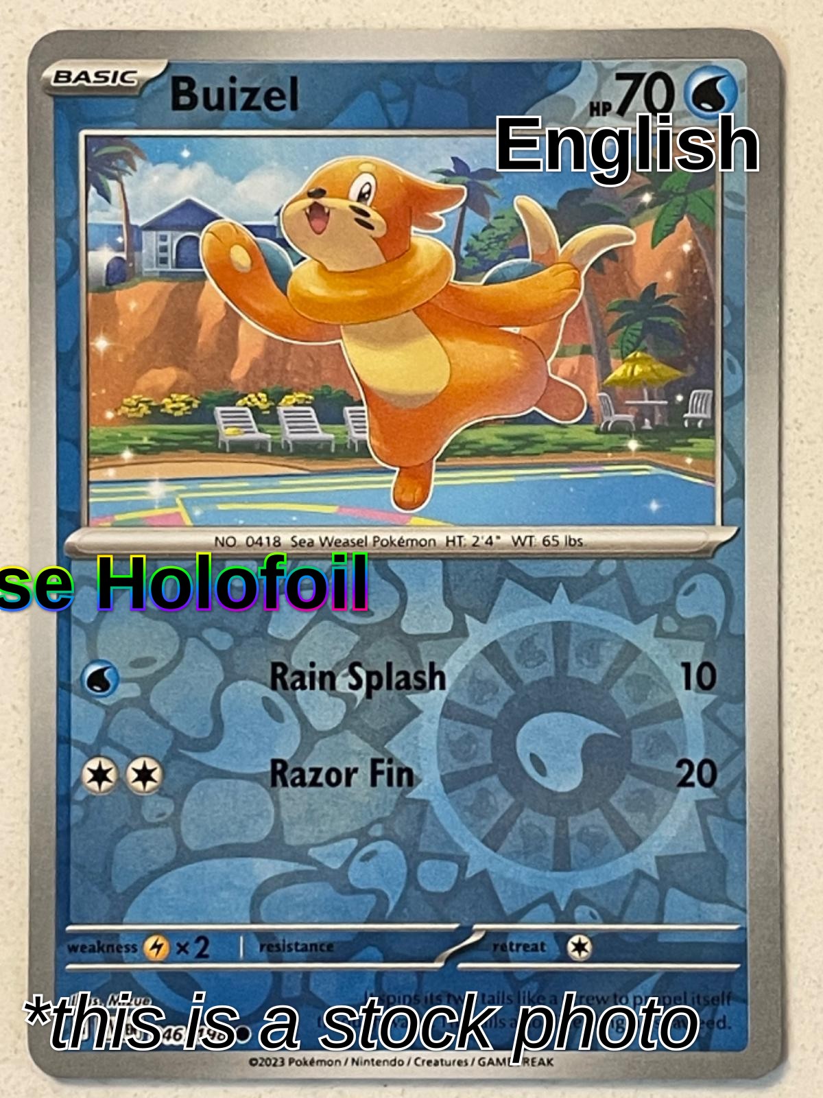 Buizel