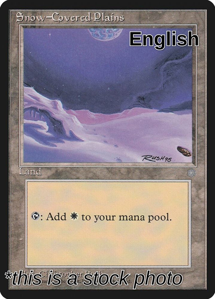 Snow-Covered Plains