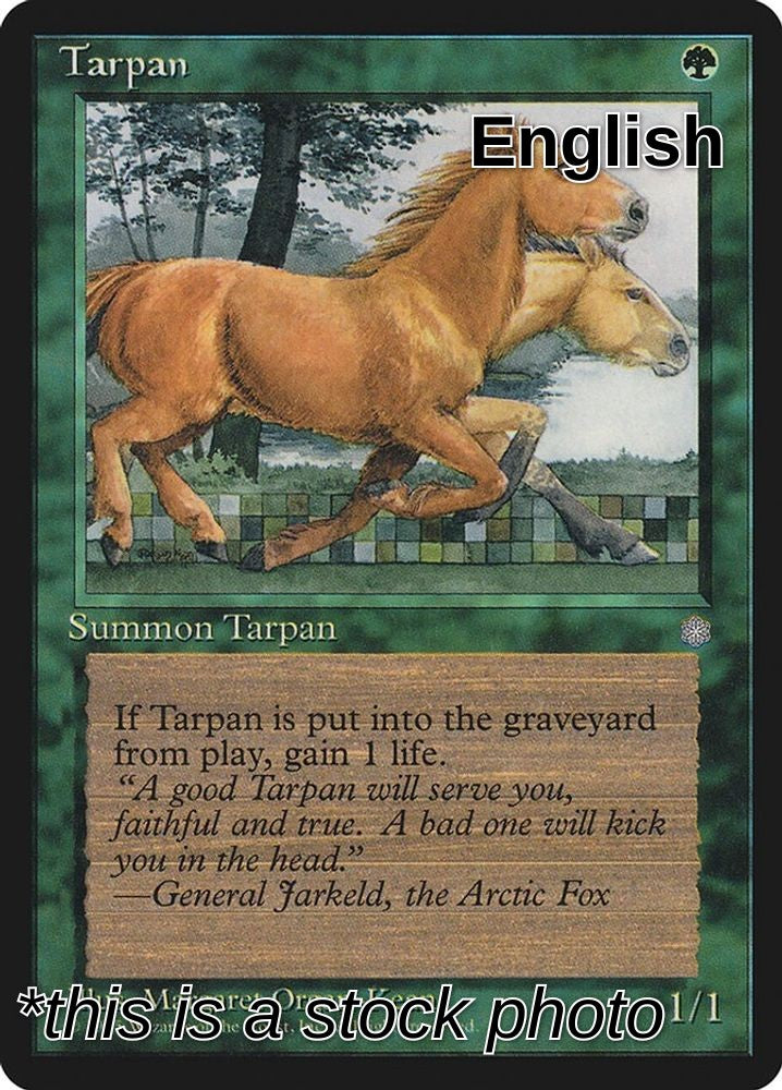 Tarpan