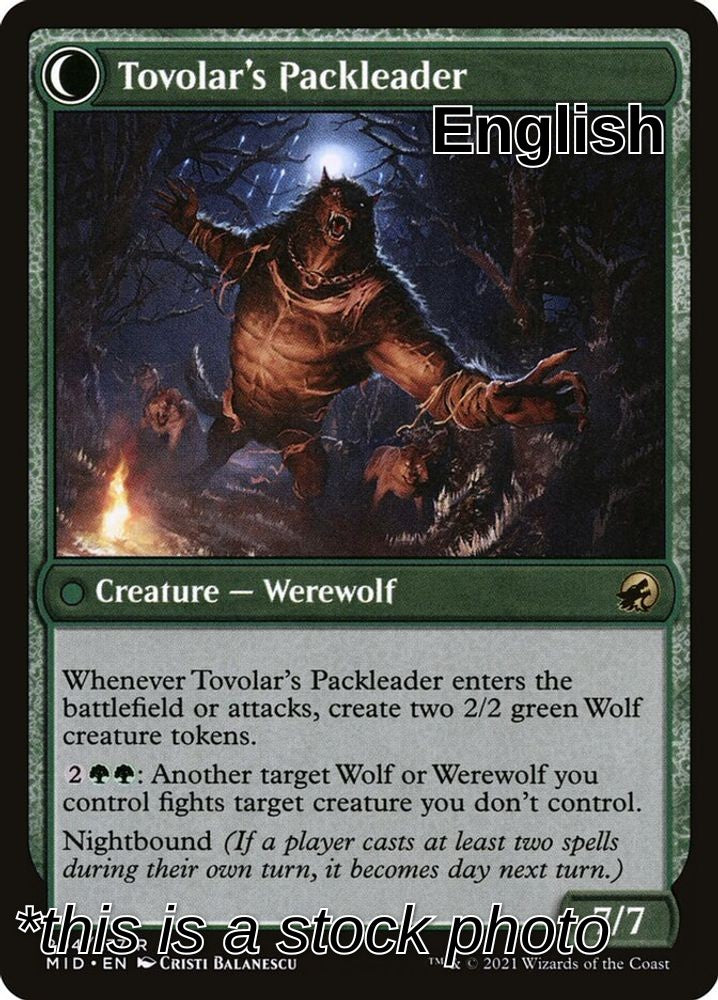 Tovolar's Huntmaster (Back)