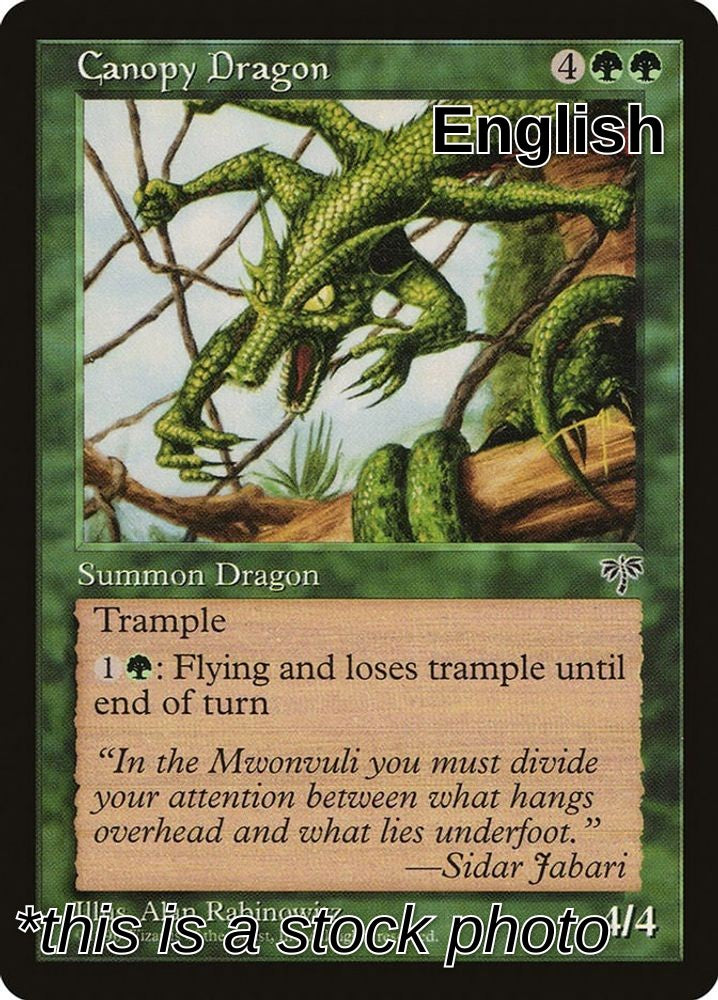 Canopy Dragon
