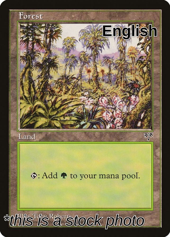 Forest (Pink Flowers Right)