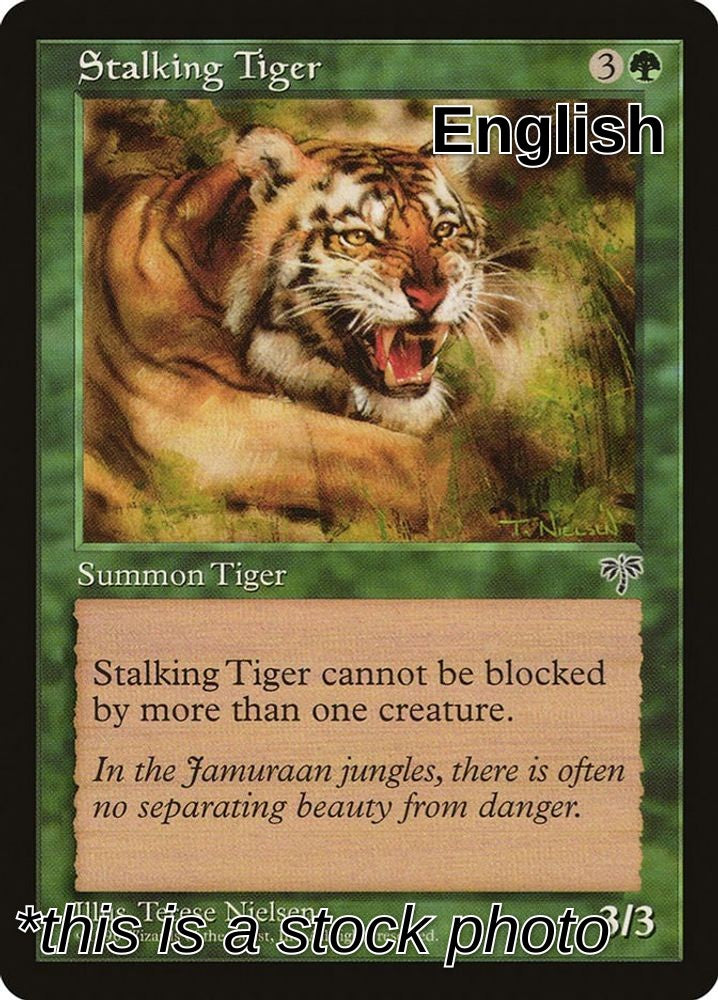 Stalking Tiger