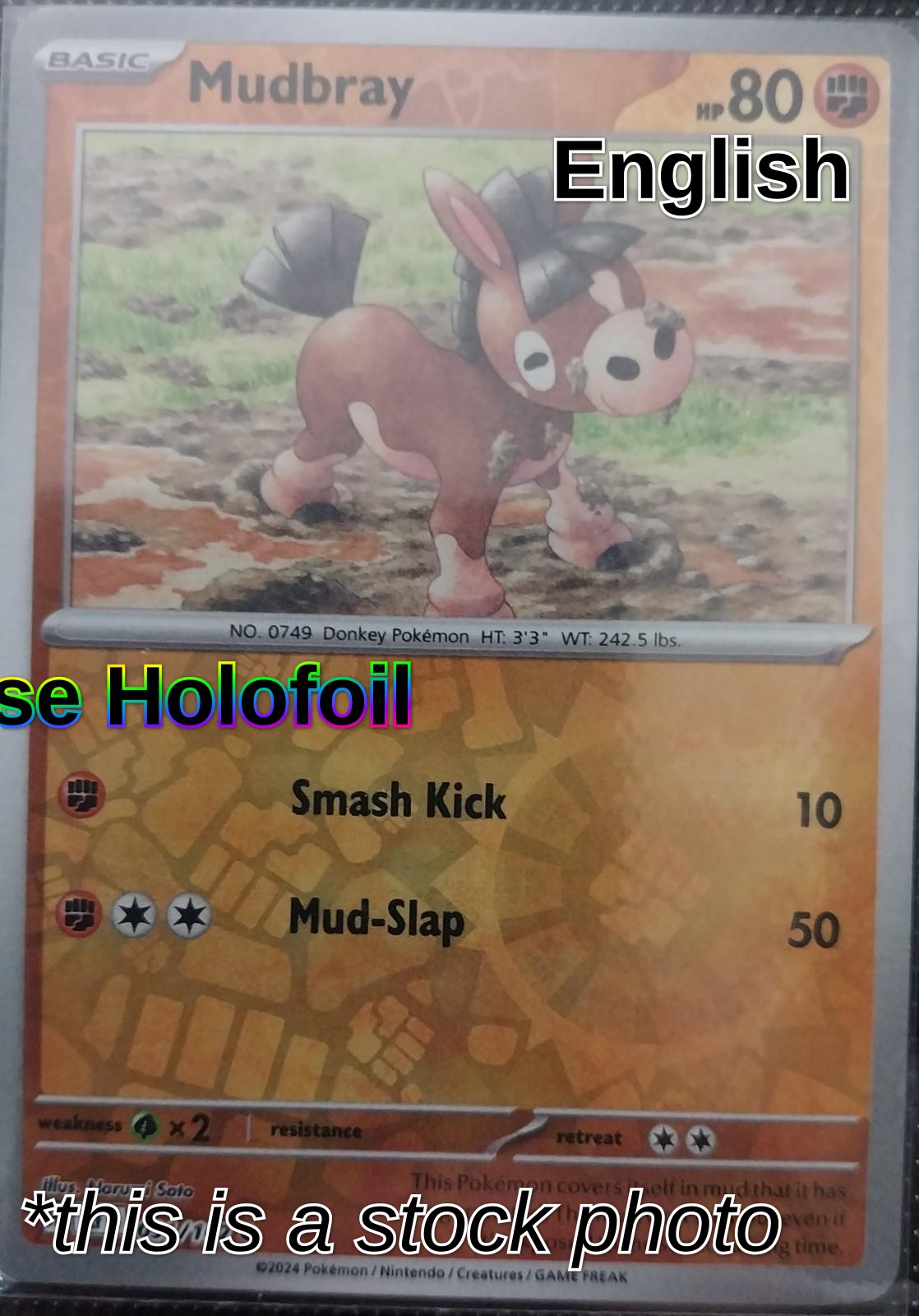 Mudbray