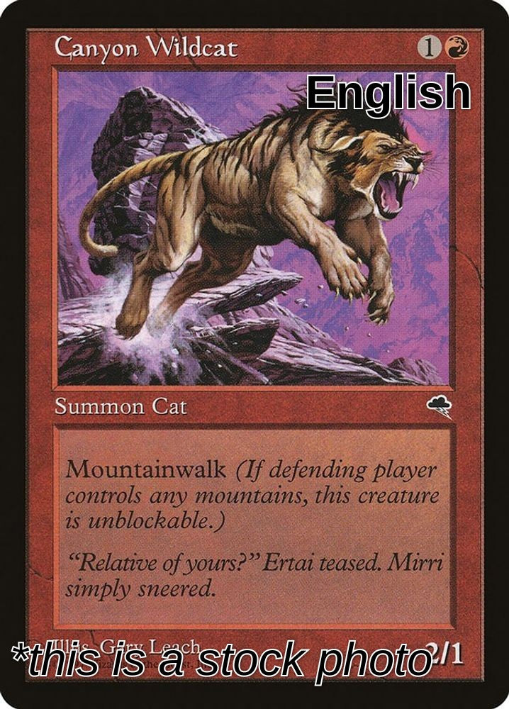 Canyon Wildcat