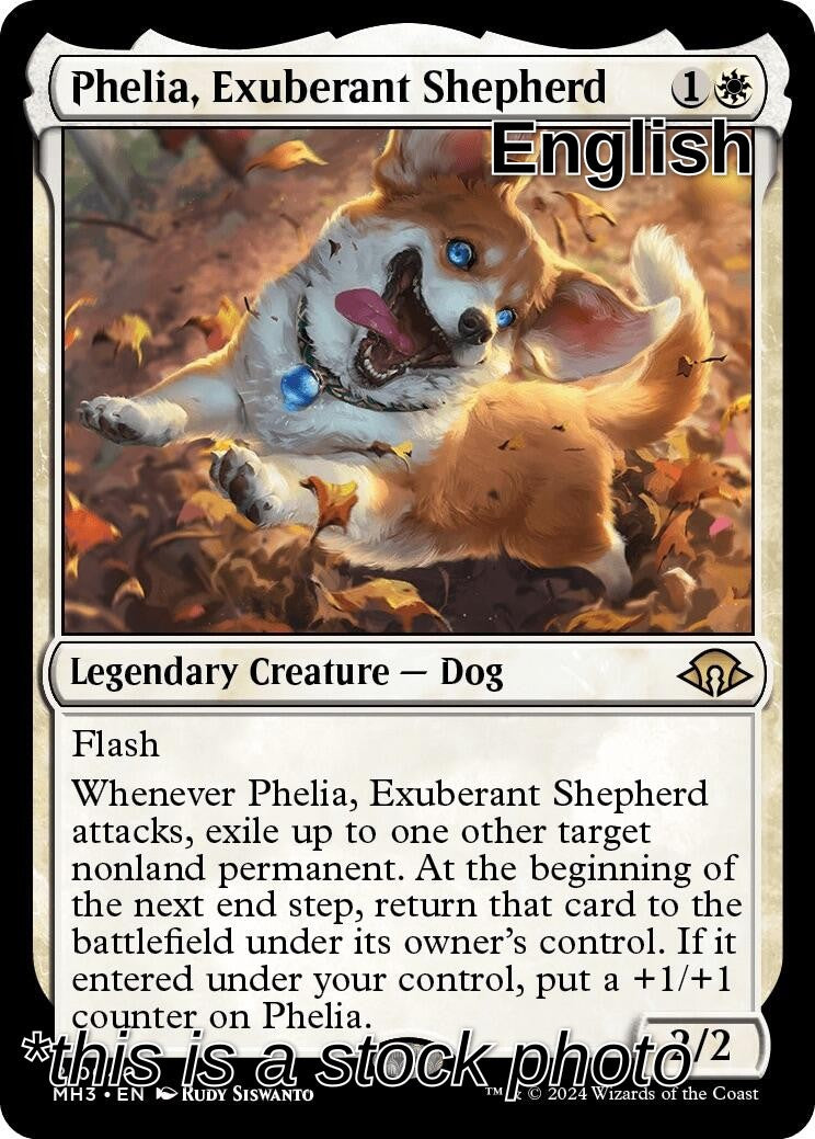 Phelia, Exuberant Shepherd