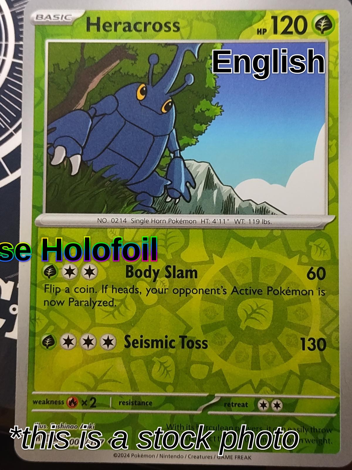 Heracross