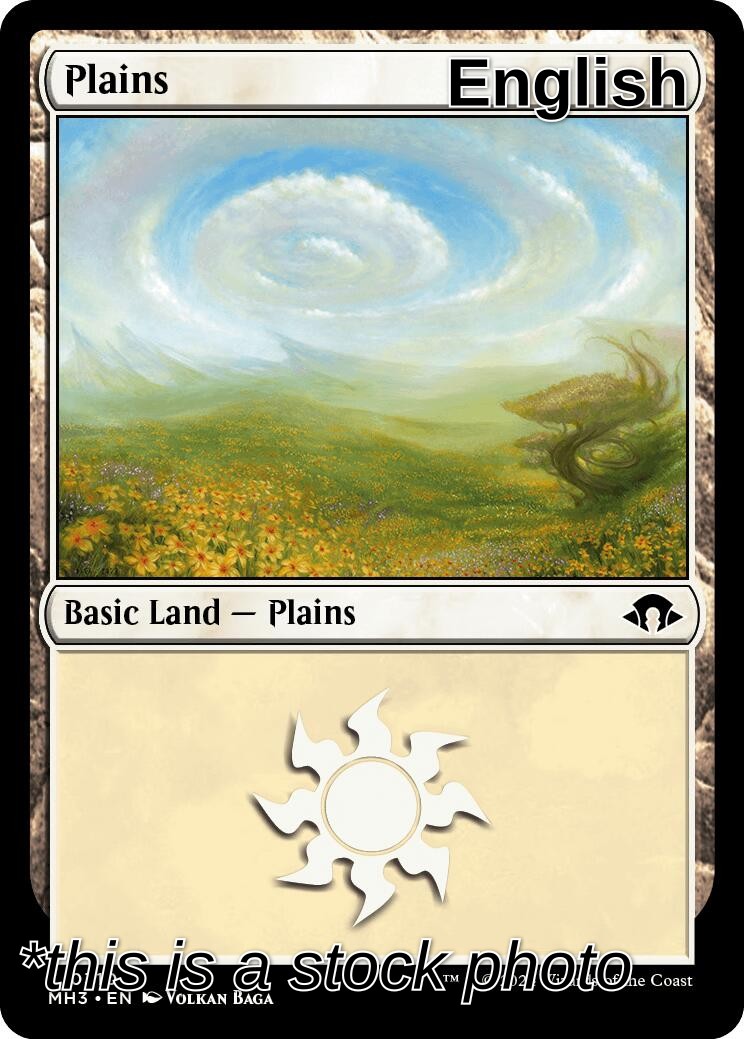 Plains (0310)