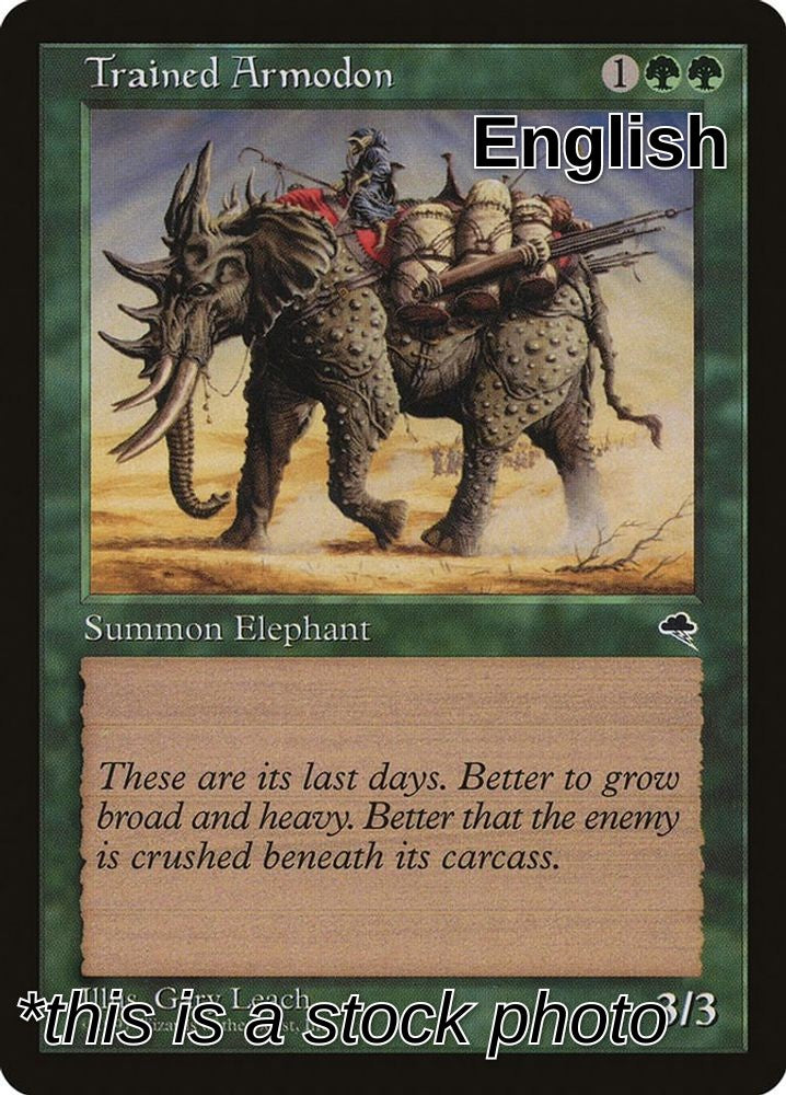 Trained Armodon