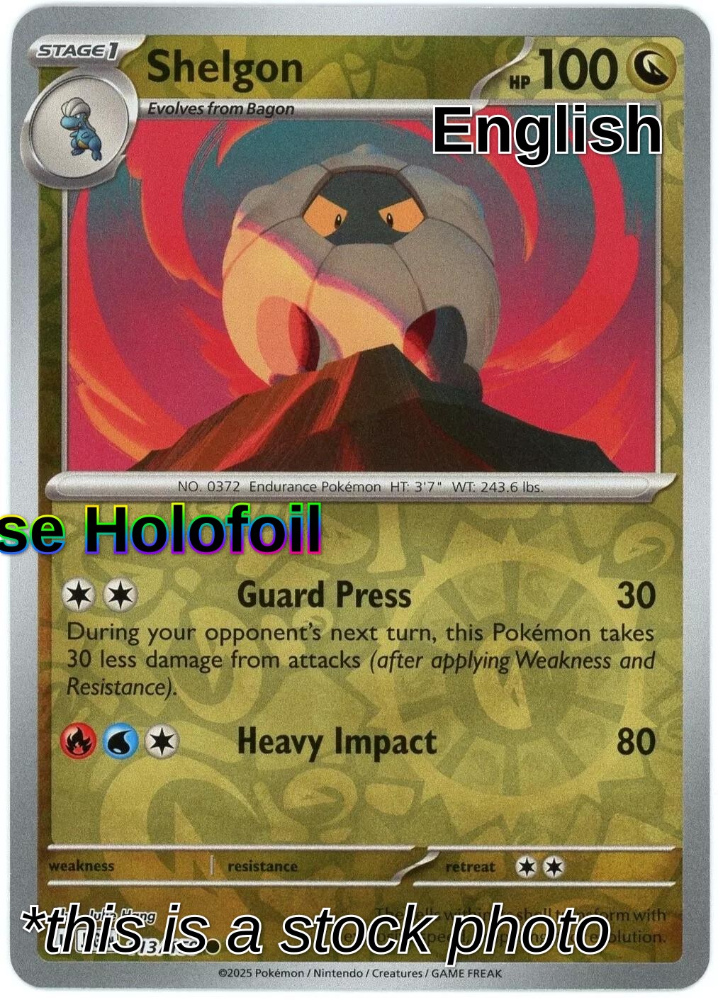 Shelgon